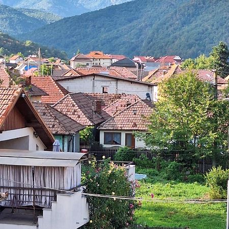 Casa Delia Hotel Călimăneşti Buitenkant foto