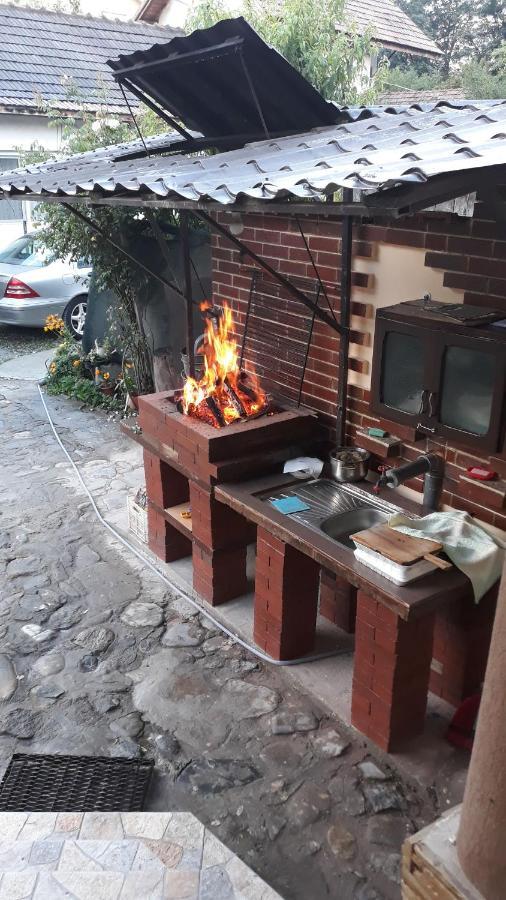 Casa Delia Hotel Călimăneşti Buitenkant foto
