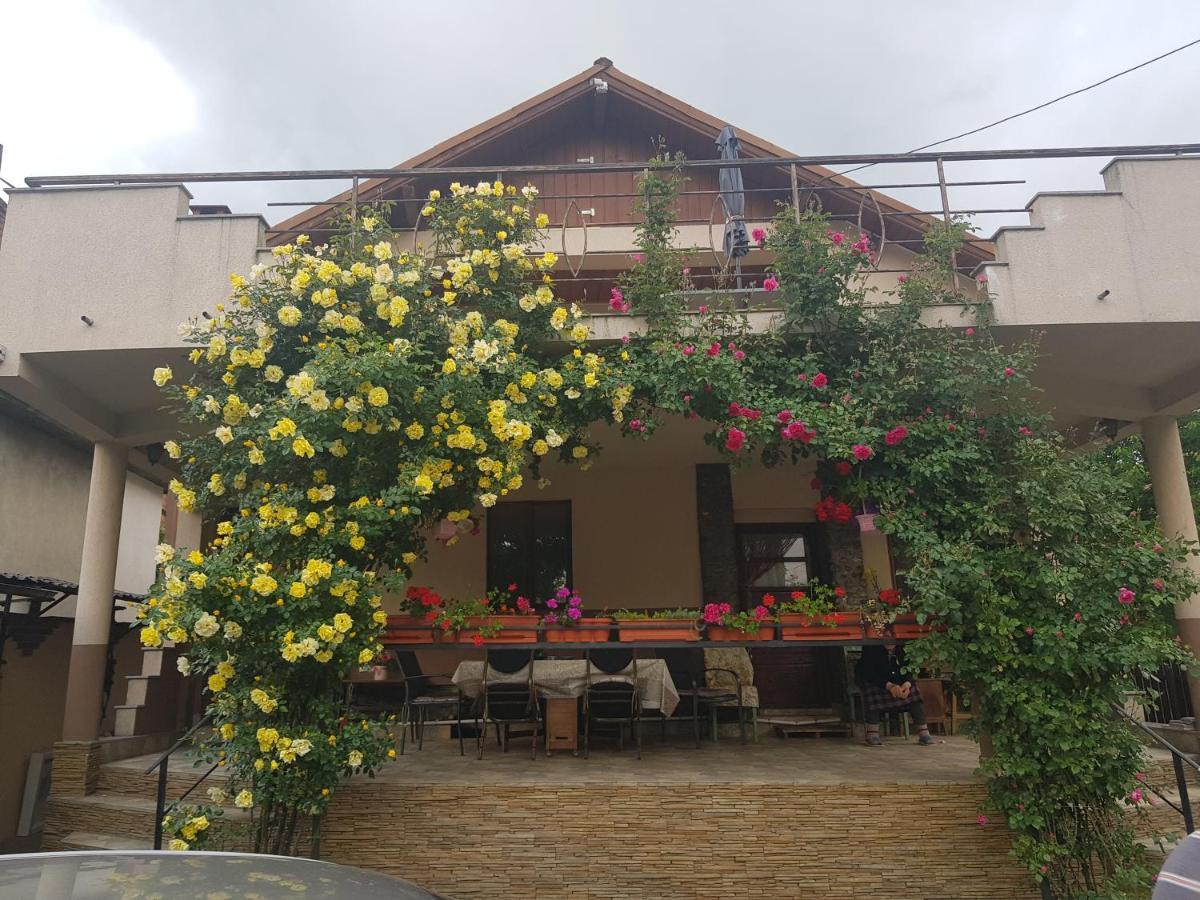 Casa Delia Hotel Călimăneşti Buitenkant foto