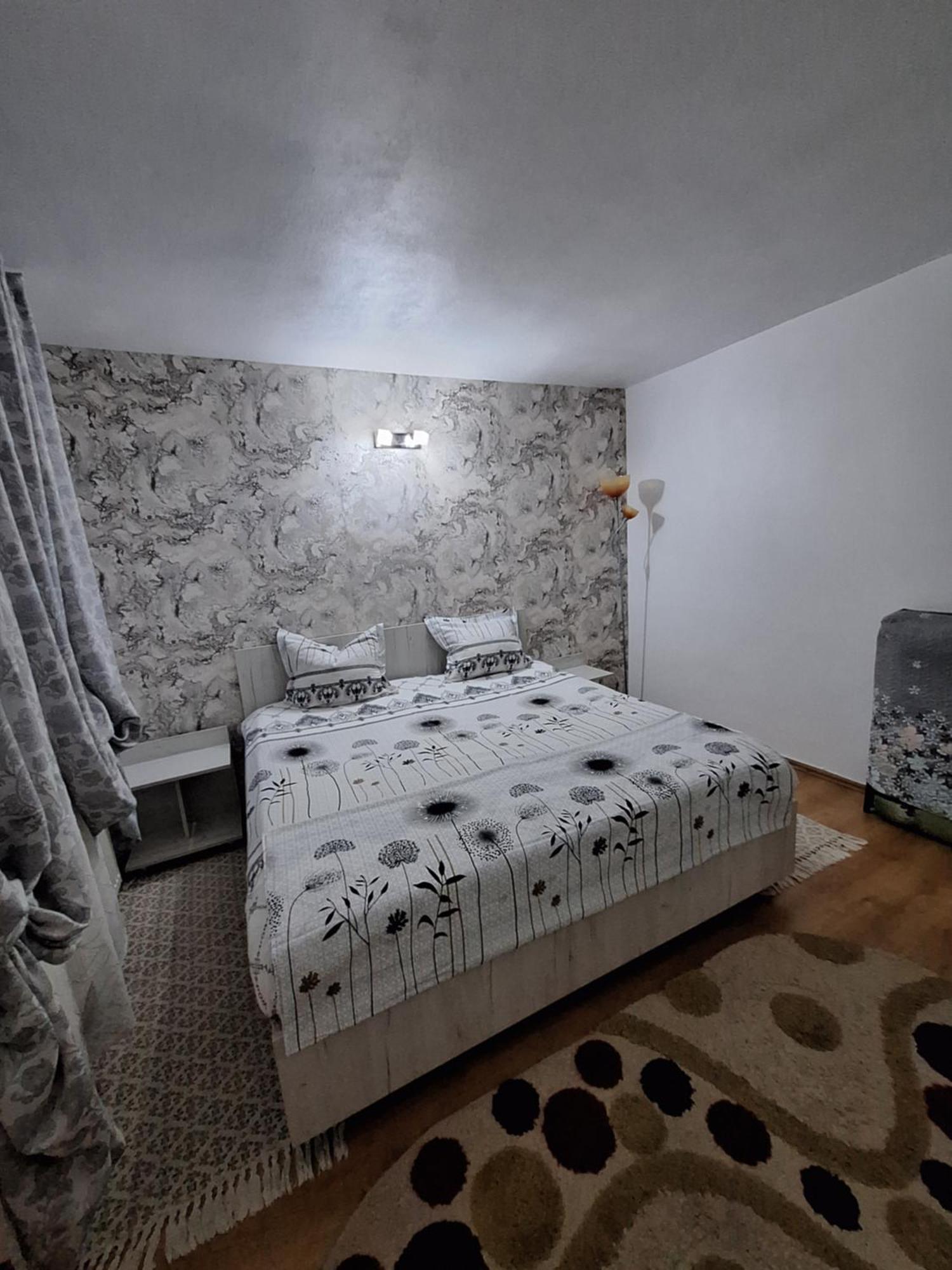 Casa Delia Hotel Călimăneşti Buitenkant foto