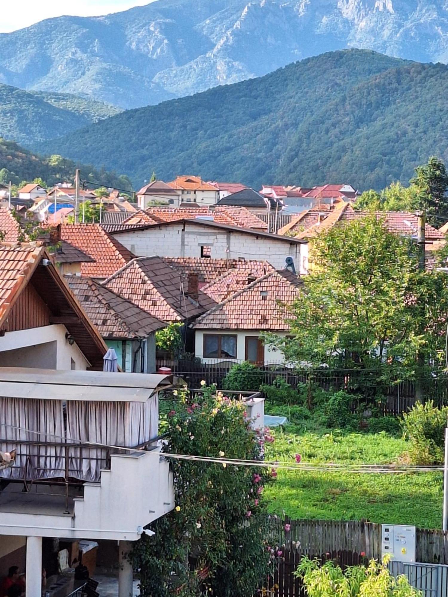 Casa Delia Hotel Călimăneşti Buitenkant foto