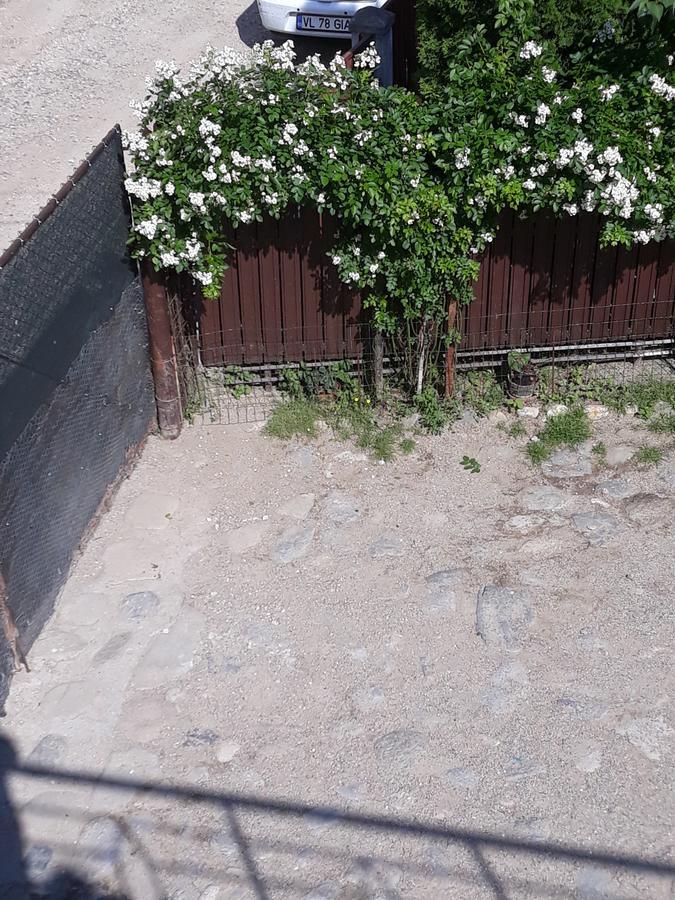 Casa Delia Hotel Călimăneşti Buitenkant foto