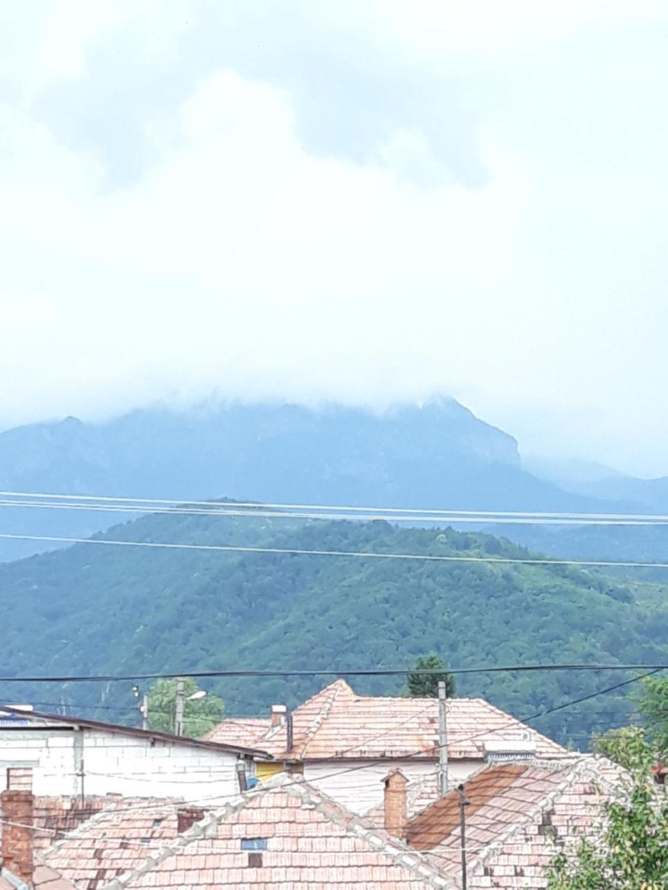 Casa Delia Hotel Călimăneşti Buitenkant foto