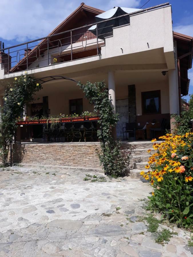 Casa Delia Hotel Călimăneşti Buitenkant foto